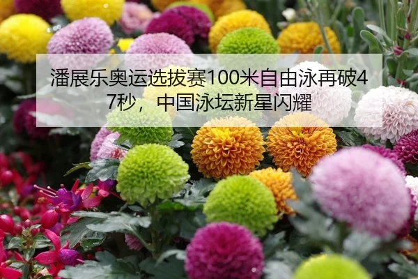 潘展乐奥运选拔赛100米自由泳再破47秒，中国泳坛新星闪耀