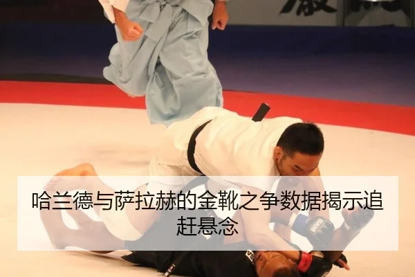 ha-lan-de-yu-sa-la-he-de-jin-xue-zhi-zheng-shu-ju-jie-shi-zhui-gan-xuan-nian-3-345.jpg